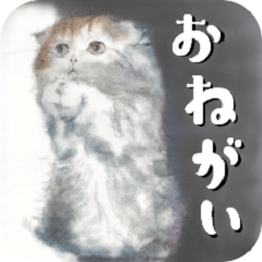 [LINEスタンプ] 気まぐれ CAT #3