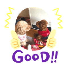 [LINEスタンプ] 松本家の犬