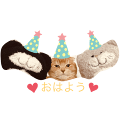 [LINEスタンプ] ネコのチロル