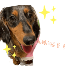 [LINEスタンプ] うまるさすけスタンプ2