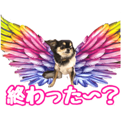 [LINEスタンプ] ぱんのつぶやき