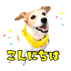 [LINEスタンプ] ぱめらの部屋