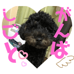 [LINEスタンプ] 仲良し3人家族 ⑦