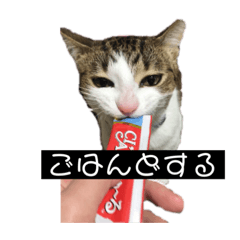 [LINEスタンプ] 俺様は小次郎。2