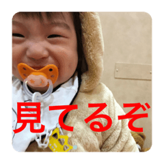 [LINEスタンプ] 見られてる