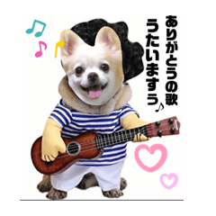 [LINEスタンプ] チワワ ツナ03