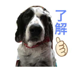 [LINEスタンプ] あっしゅスタンプ