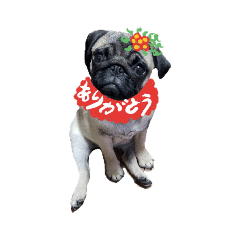 [LINEスタンプ] へへのスタンプ