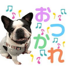 [LINEスタンプ] フレンチブル あんちゃん3