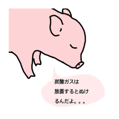 [LINEスタンプ] 豆知識ブタスタンプ