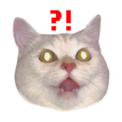 [LINEスタンプ] なちばく劇場