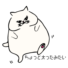 [LINEスタンプ] 目つきがちょっと悪いメタボ猫