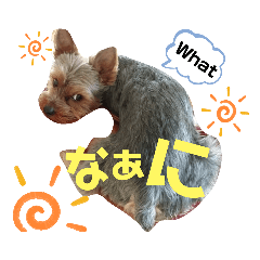 [LINEスタンプ] とやま家の愉快な仲間たち