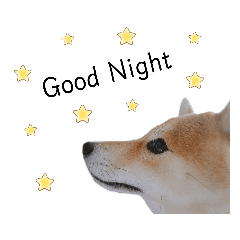 [LINEスタンプ] 竹千代と千