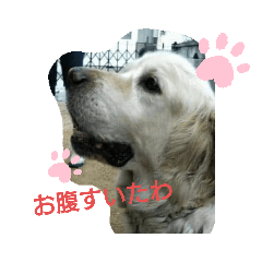 [LINEスタンプ] ももとももお