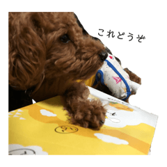 [LINEスタンプ] 犬の日常〜一丸〜