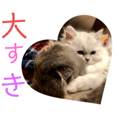 [LINEスタンプ] 千と珀のスタンプ
