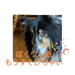 [LINEスタンプ] ぼくウッ爺