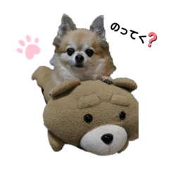 [LINEスタンプ] せんたろうスタンプ