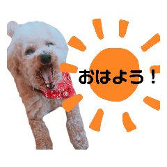 [LINEスタンプ] ちょこの一日