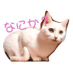 [LINEスタンプ] ユーイチローとリリ