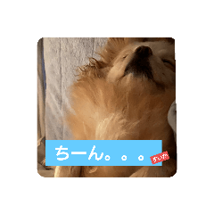 [LINEスタンプ] すいかナイス！