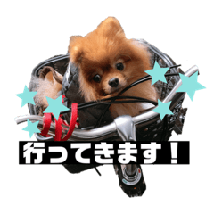 [LINEスタンプ] チャイさんスタンプ