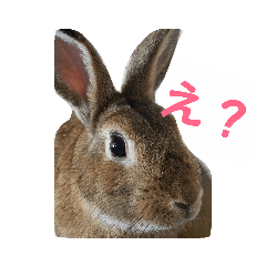 [LINEスタンプ] だいずの1日