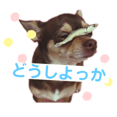 [LINEスタンプ] スムチー くるみ姫