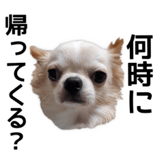 [LINEスタンプ] くうさんの為のスタンプ