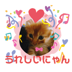 [LINEスタンプ] かりん にゃん語