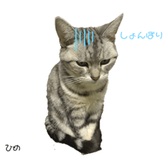 [LINEスタンプ] ひめさんのスタンプ