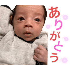 [LINEスタンプ] かいくんだよ♥️
