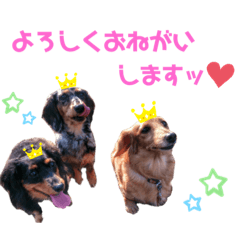 [LINEスタンプ] 愛犬 ミニチュアダックスとナナ