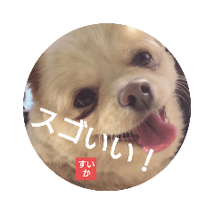 [LINEスタンプ] ポジティブ！すいか