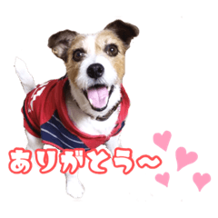 [LINEスタンプ] アトムのラララスタンプ