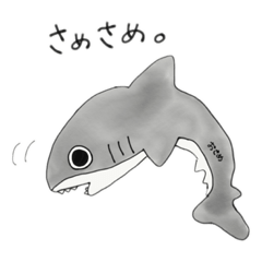 [LINEスタンプ] おサメさんスタンプの画像（メイン）