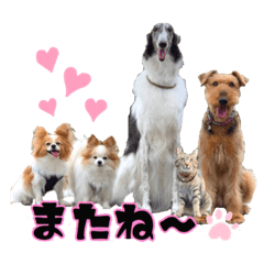 [LINEスタンプ] 凸凹ファミリーの日常