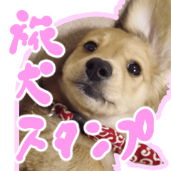 [LINEスタンプ] 旅犬家のわんわんズ