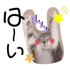 [LINEスタンプ] マメちゃんスタンプですョ