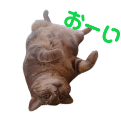 [LINEスタンプ] 風太郎