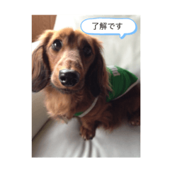 [LINEスタンプ] COCOのまったりライフ