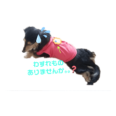 [LINEスタンプ] プリンさんふたたび。