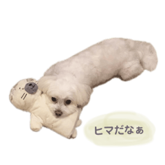 [LINEスタンプ] Peco's happy life 2