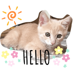 [LINEスタンプ] ナトくんスタンプです