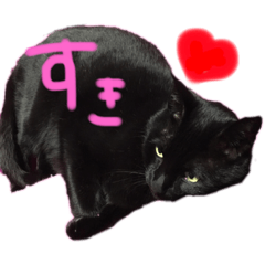 [LINEスタンプ] みんなの黒い猫2