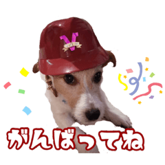 [LINEスタンプ] さくらのデイリースタンプ
