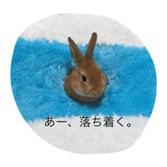 [LINEスタンプ] 自由なヨシヒコさん