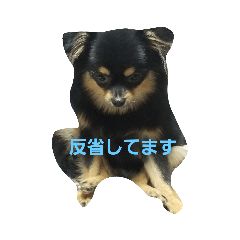 [LINEスタンプ] pekopuchi