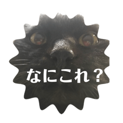 [LINEスタンプ] もみじスタンプ(空)